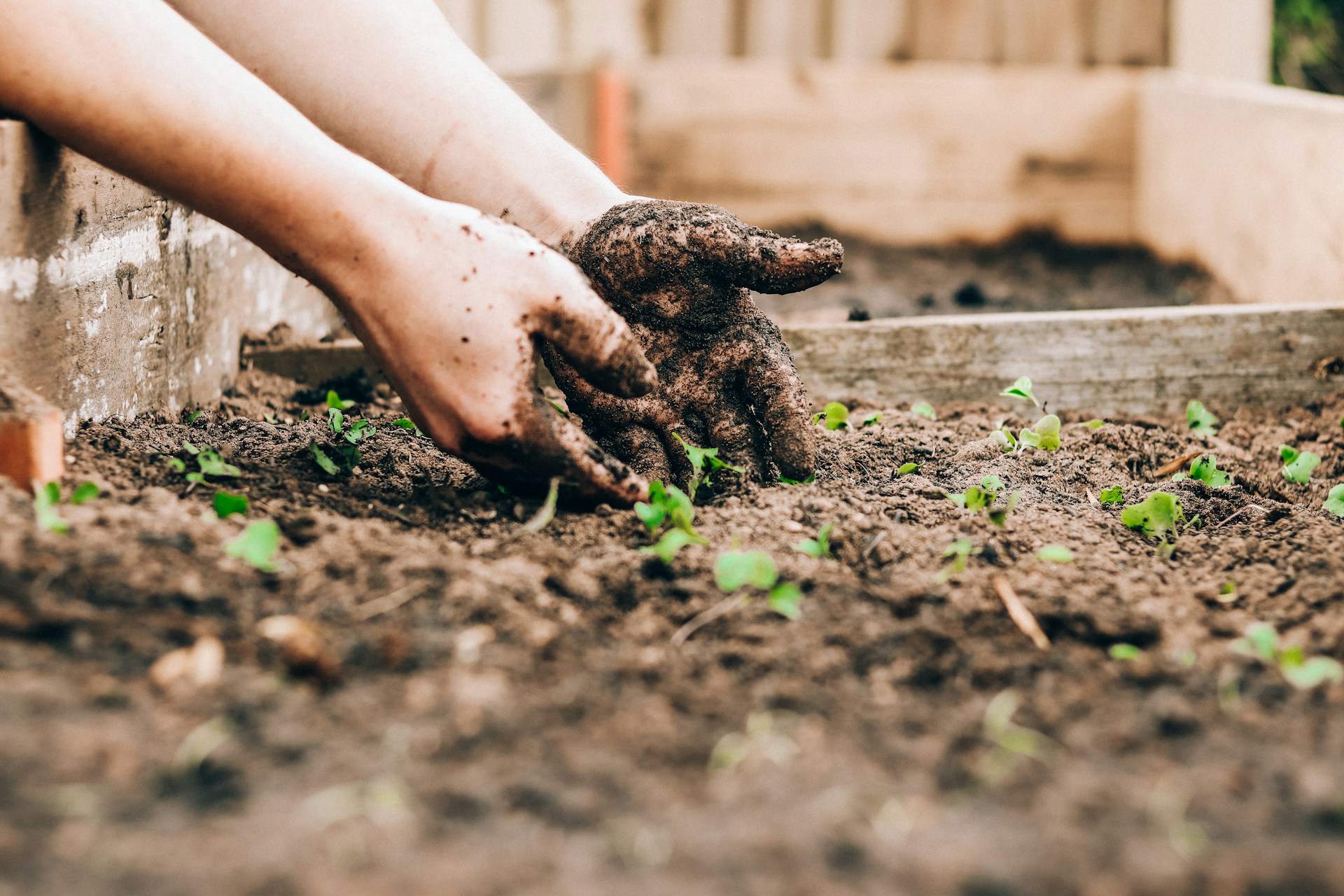 FAO Releases Status of the World’s Soil Resources 2026