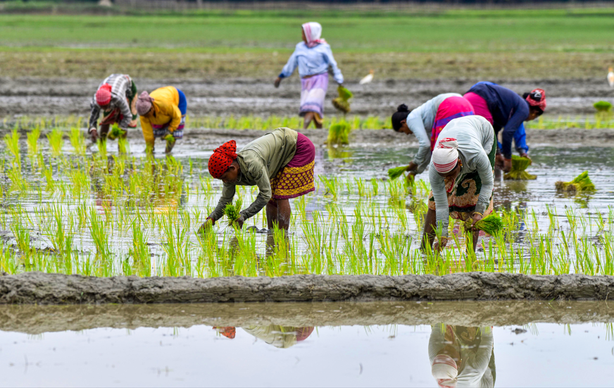 Pradhan Mantri Fasal Bima Yojana allocation for 2026-27