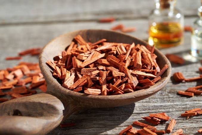 Union Budget 2026-27 Flags Sandalwood as Cultural Heritage Species