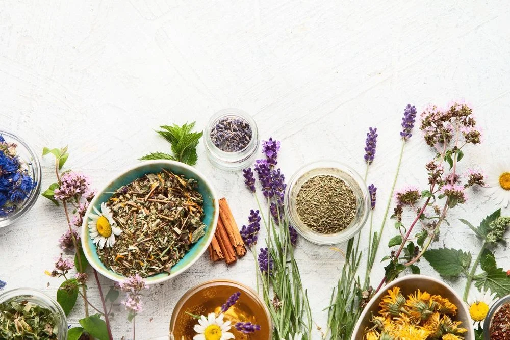 Traditional Herbal Medicines as Antimicrobial Alternatives in Livestock
