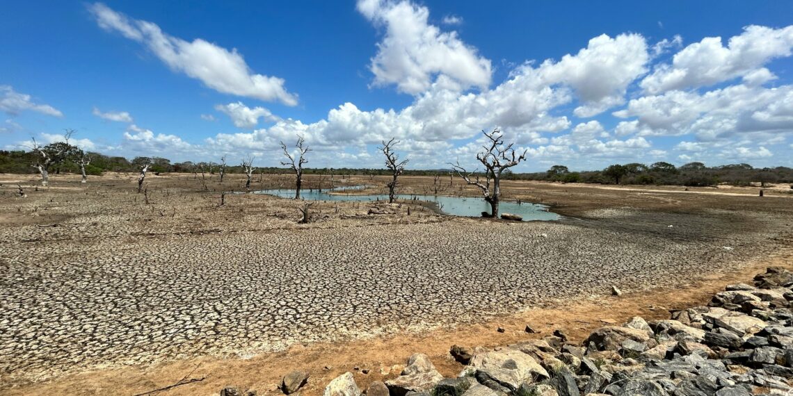 WMO Warns El Nino May Intensify Through 2027