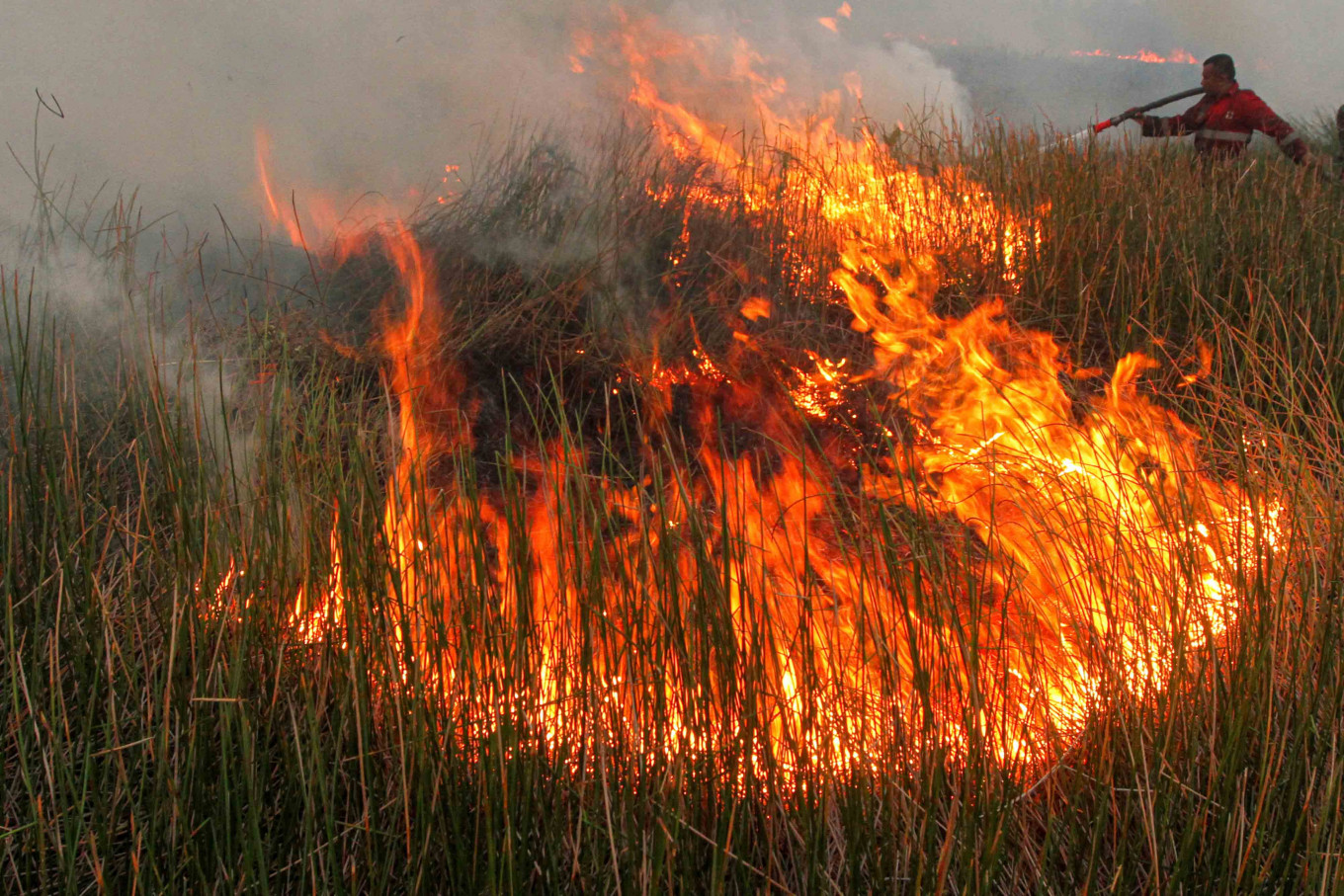 Indonesia Peatland Fires Surge in 2026 as El Nino Deepens Drought Conditions