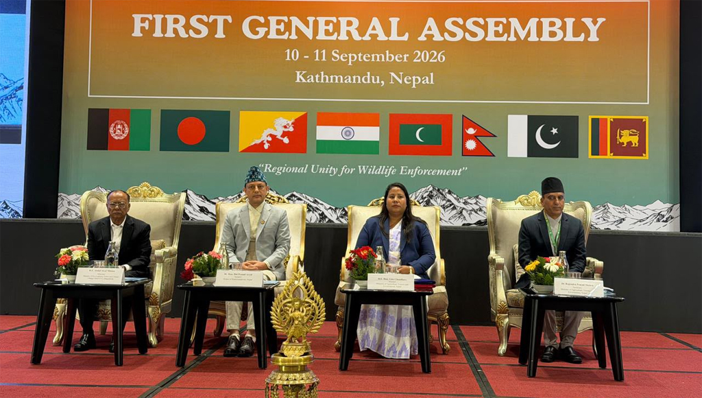 SAWEN Member Countries Adopt Kathmandu Declaration