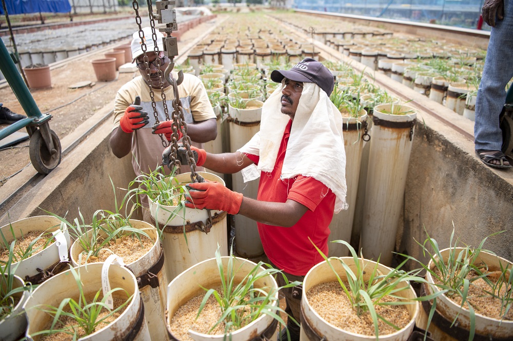 BRIC-NIPGR Inaugurates SPROUT Facility for Crop Phenotyping