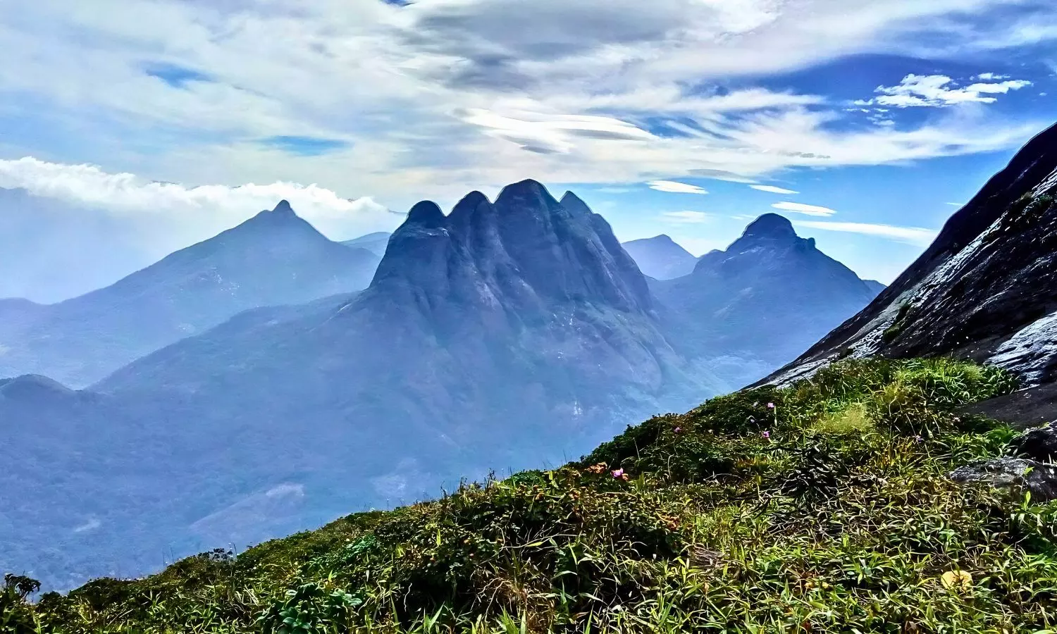 3,261 Flowering Plant Species in Agasthyamalai Biosphere Reserve