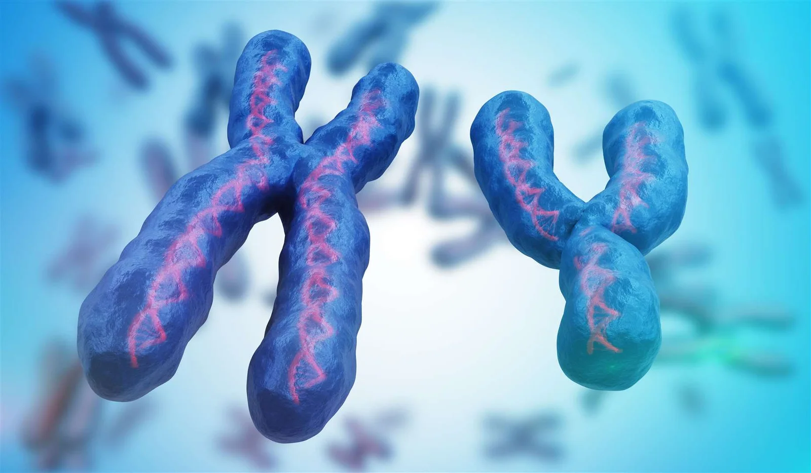 Swyer Syndrome Prevalence and Genetics