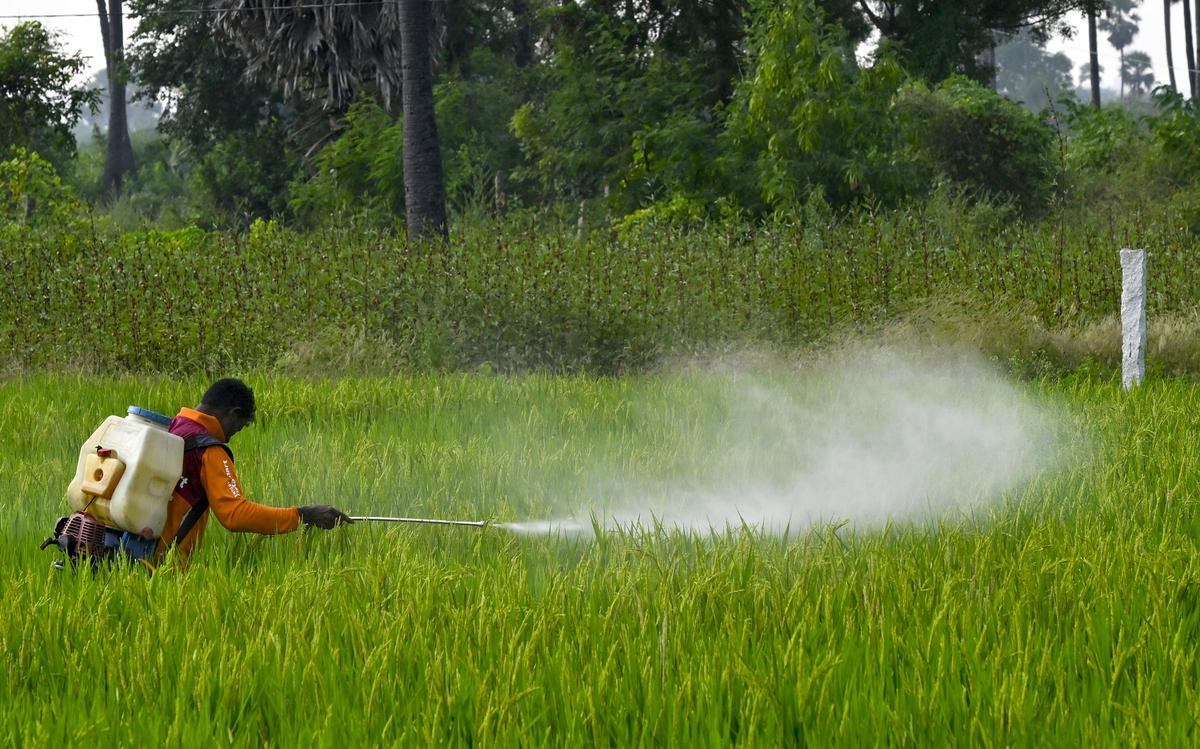 Ministry of Agriculture Bans Paraquat Dichloride Registration