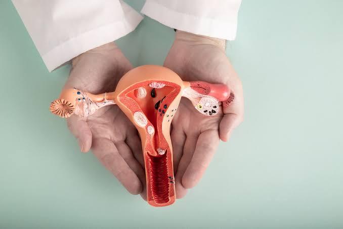 India’s First Genome-Wide Endometriosis Study